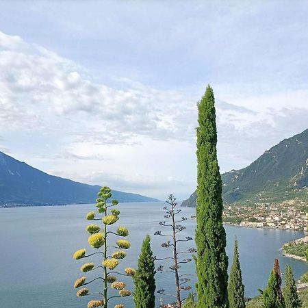 Centro Vacanze La Limonaia Limone sul Garda Bagian luar foto